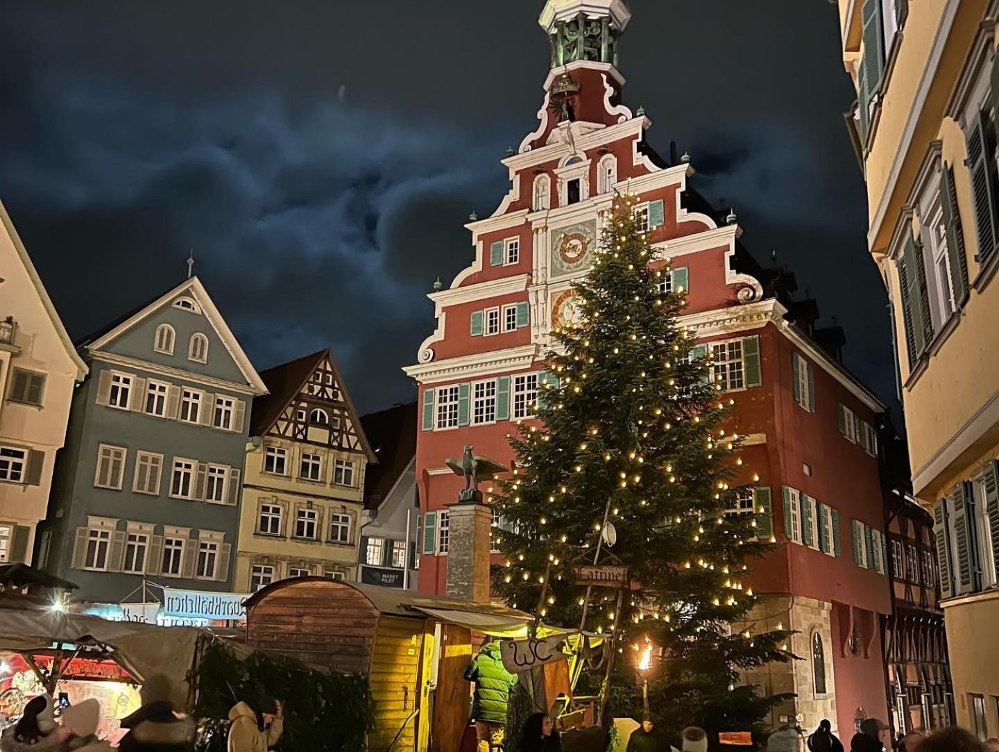Ferieninrosengarten 1 Zi Appartement 190 Cm Deckenhoehe Oder Grosse 4 Zi Dg Whg Zewnętrze zdjęcie