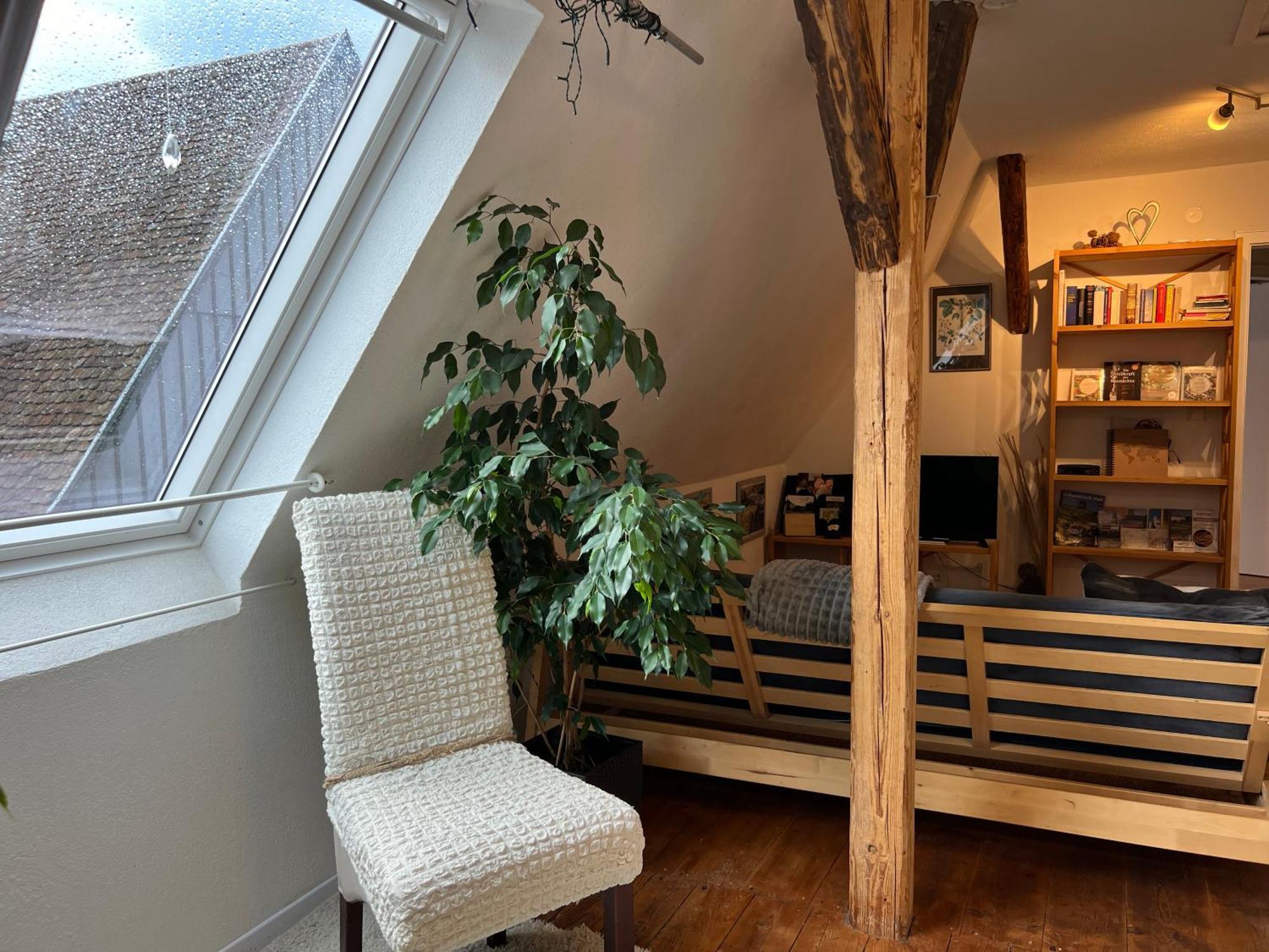 Ferieninrosengarten 1 Zi Appartement 190 Cm Deckenhoehe Oder Grosse 4 Zi Dg Whg Zewnętrze zdjęcie